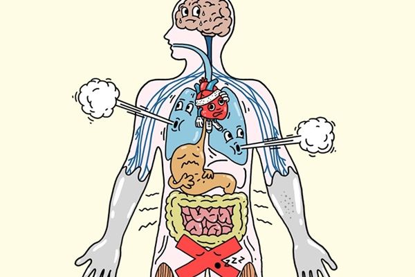 Tác động của căng thẳng (stress) đến các hệ thống trong cơ thể