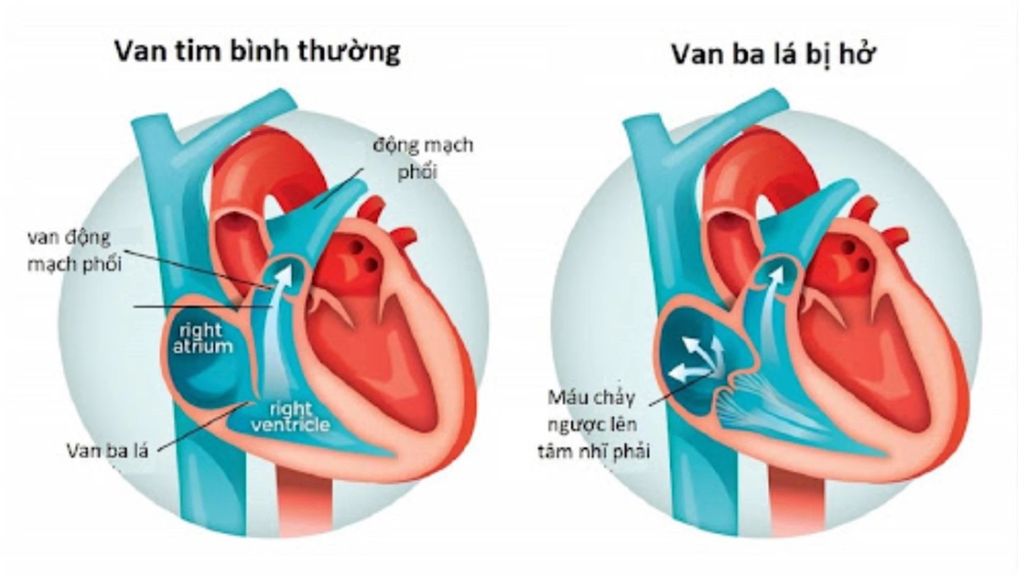 Hình ảnh 197