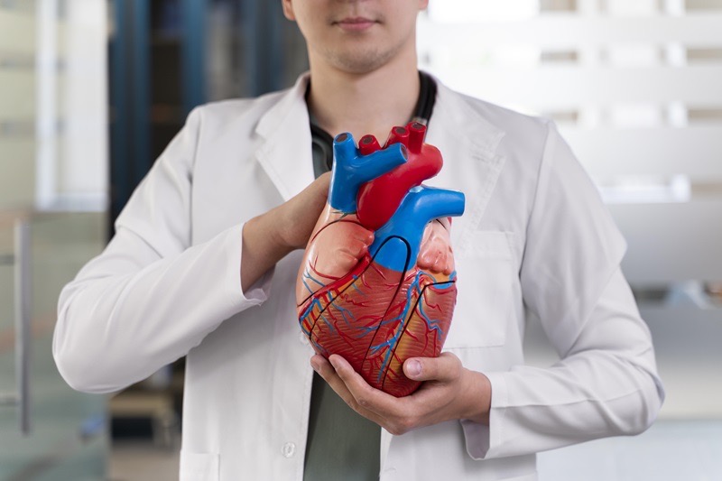 Sự khác biệt giữa rung nhĩ (AFib) và nhịp nhanh trên thất (SVT) là gì?