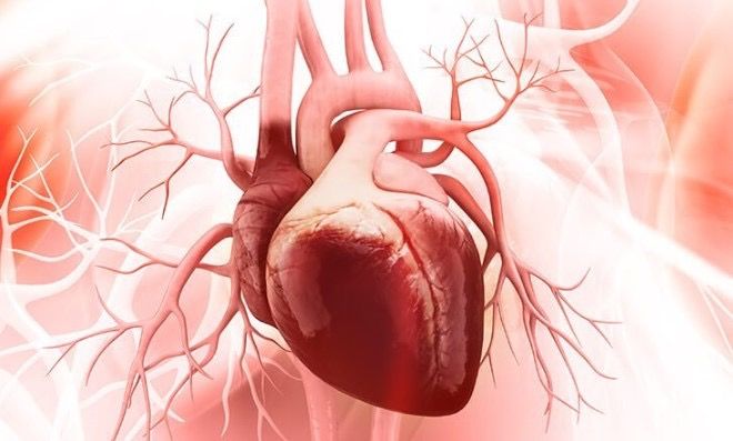 11 loại dị tật tim bẩm sinh là gì?