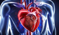 Những điều cần biết về tái thông mạch vành