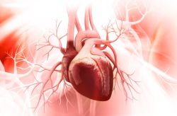 Xơ hóa cơ tim: Nguyên nhân, triệu chứng và cách điều trị