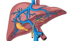 Những điều cần biết về xơ gan tim
