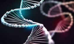 Yếu tố di truyền và cholesterol cao: Gen APOE4 ảnh hưởng đến sức khỏe như thế nào?