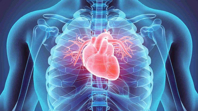 Phân biệt viêm cơ tim và viêm màng ngoài tim