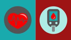 Tại sao bệnh tiểu đường type 2 làm tăng nguy cơ mắc bệnh tim mạch?