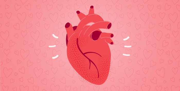 Có đúng là tim ngừng đập khi hắt hơi?