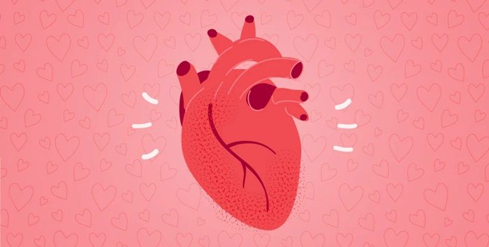 Có đúng là tim ngừng đập khi hắt hơi?