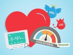 Cholesterol có vai trò gì trong cơ thể?