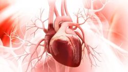 Phì đại thất trái: Nguyên nhân, triệu chứng và điều trị