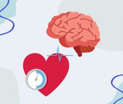 Tại sao tăng huyết áp và bệnh tim làm tăng nguy cơ đột quỵ?