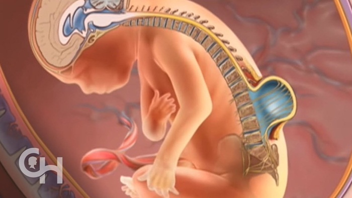 Nứt đốt sống: Nguyên nhân và phương pháp điều trị