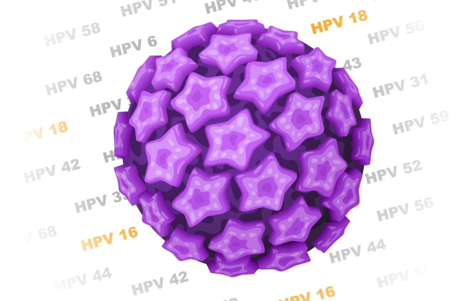 Các chủng HPV phổ biến