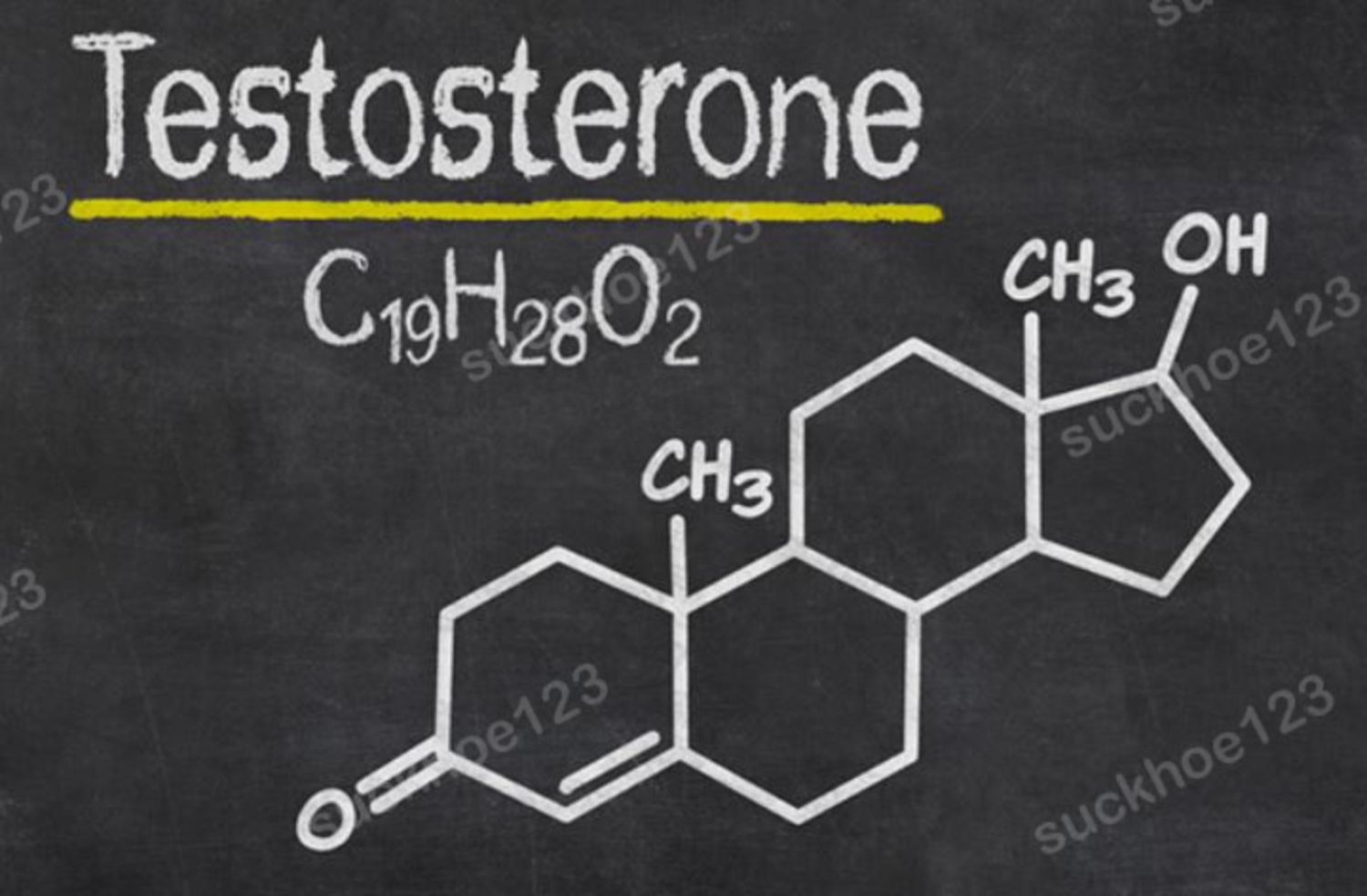 Tầm quan trọng của Testosterone đối với nam giới - GOTOSAN TW3