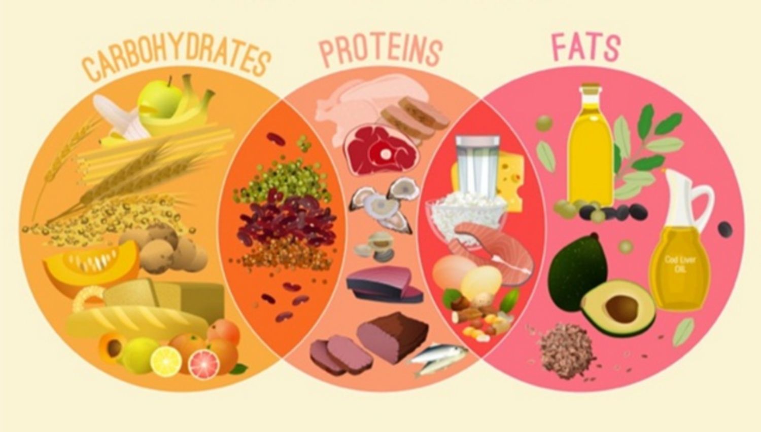 Cần ăn bao nhiêu chất dinh dưỡng đa lượng để giảm cân?