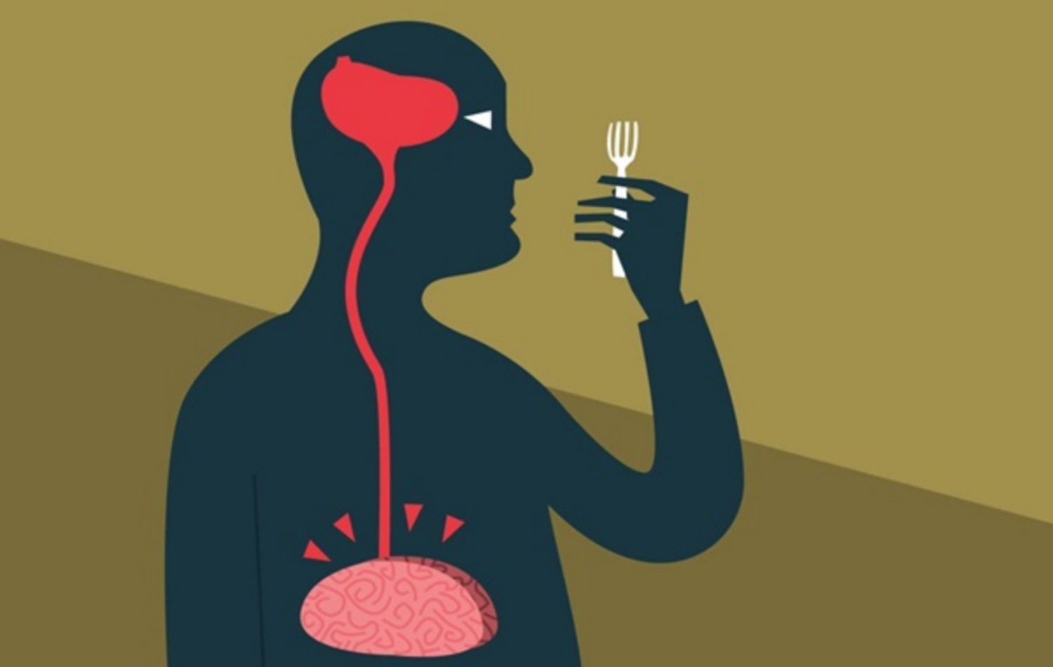 Những điều cần biết về hormone gây đói ghrelin