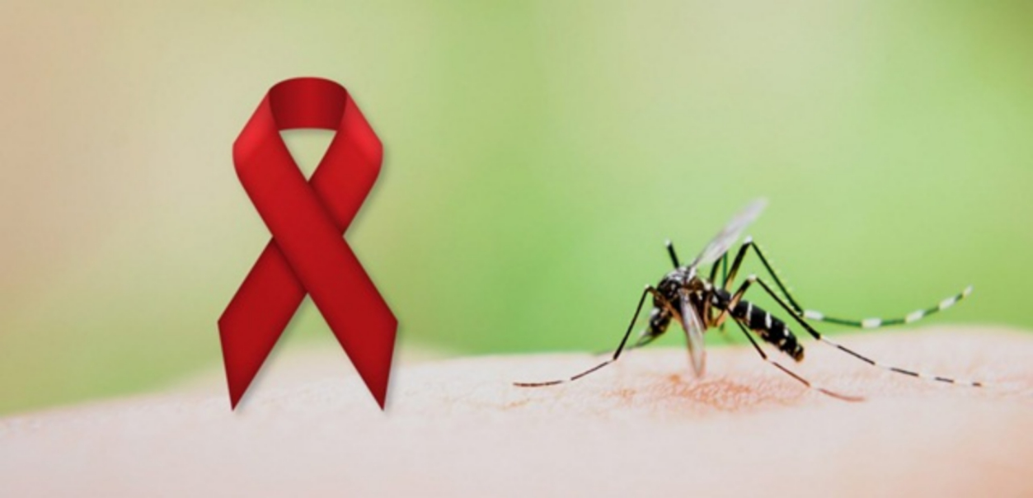 HIV có lây truyền qua muỗi đốt không?