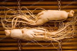 Tác dụng của hồng sâm với rối loạn cương dương