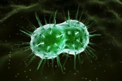 Bệnh lậu điều trị bằng cách nào?