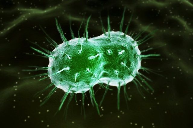 Bệnh lậu điều trị bằng cách nào?