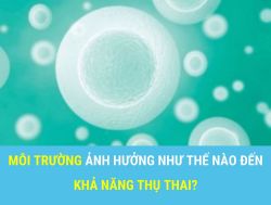 Môi trường ảnh hưởng như nào đến khả năng sinh sản