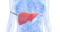 Sinh thiết gan được thực hiện như thế nào?