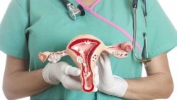 U xơ tử cung có cuống là gì và điều trị như thế nào?