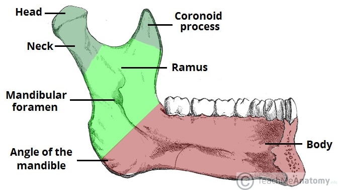 md1